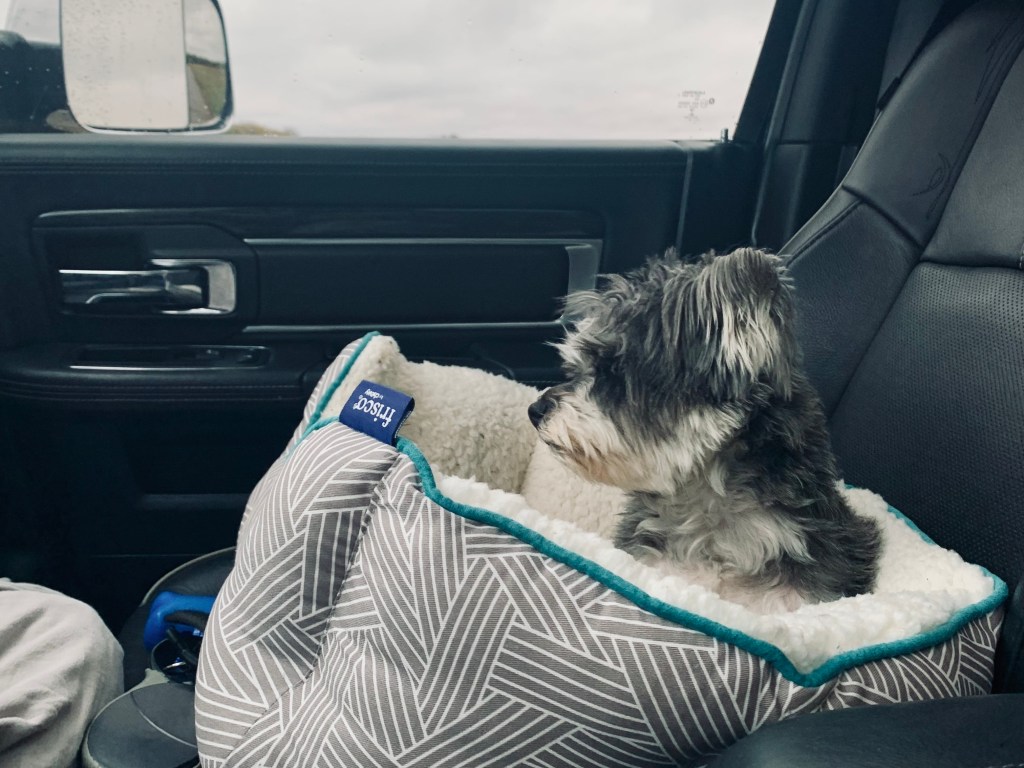 Everyday’s An Adventure